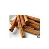 Cinnamon Extract