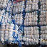 Small Packing 5-5.5cm Fresh Red Garlic Produced In Jinxiang Shandong China thumbnail-1