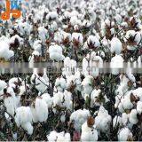 Hot Selling Textile Machine Price Loose Cotton And Open Cotton Machine thumbnail-6