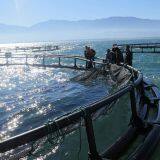 Sea Cage Fish Farming Square And Circle Cage For Fish thumbnail-3