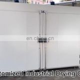 Liyi Plastic Drying 700 Degree Walk High Temperature Test Large Industrial Oven