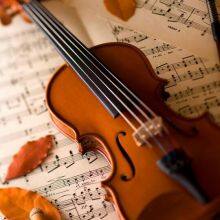 High Quality Antique Style Nice Flamed Ebony Parts Student Violin thumbnail-3