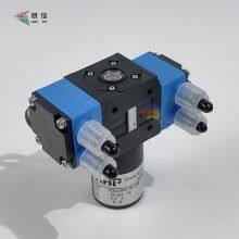 Ceramic Digital Machine Spare Parts HAP NT043KXC-HB600 Diaphragm Double-Head Liquid Pump 24 V Tian Gong Ferrari Parts Brushed Motor Double-Head Pump thumbnail-4