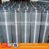 Hot Dipped Cheap Galvanized Rabbit Cage Welded Wire Mesh