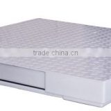 Ultra Precision Industry Floor Weighing Electronic Platform Scale