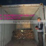 Low Cheap Price Factory BWG16 BWG18 Building Material Wire Rod Twisted Soft Annealed Black Iron Binding Wire /twist Tie Wire thumbnail-5