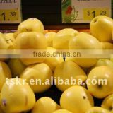 GOOD quality Chinese Golden delicious apple