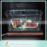 China Wholesale High Quality Plastic Divided Tray