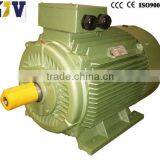 YD Low Price High Quality OEM Motor