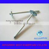 Umbrella Roofing Iron Nail thumbnail-1