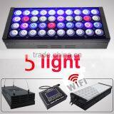 High Quality Led Cob Chip ce Rohs Iec Ip65 Approval 60/120 Degree Beam Angle DSunY Wifi Led Aquarium