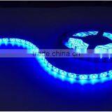 Hot Sale Double Row 30Watt DC24V 120Leds/M SMD 5630 Led Strip thumbnail-4