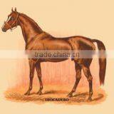 Trocadero 20x30 Poster thumbnail-1