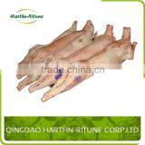 Halal Product Frozen Meat Lamb Carcass thumbnail-2
