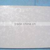 Vinyl Ceiling Panels