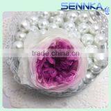 Wholesale Valentine's Day Gifts Purple Color Preserved Roses Flower Austin Rose Dried Flowers thumbnail-2