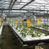 Hot Selling Fertilizer thumbnail-5