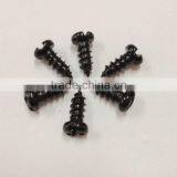 Stainless Steel Screws 2014 the Best Selling Products Made in China thumbnail-2