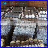 Outdoor Stadium Fence Playground Chain Link Fence/ Used Chain Link Fence Gates thumbnail-6