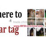 Passive Cattle RFID Tags Passive Animal Ear Tags for Cattle Tracking thumbnail-3