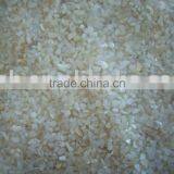 Crushed Mother of Pearl Shell Chips