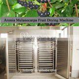 Commercial Fruit Dehydrator / Small Commercial Fruit Drying Machine thumbnail-4