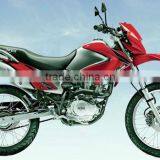 New Bros Dirt Bike thumbnail-1