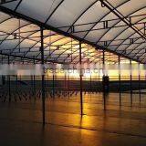 Hot Dipped Steel Pipe Structure Polyethylene Greenhouse PE Film Greenhouse thumbnail-3