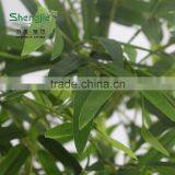 SJ13001217 High Imitation Black Bamboo Tree/fake Bamboo Poles /decorative Bamboo Craft thumbnail-6