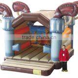 Inflatable Cartoons Bouncer /inflatable Jumping Castle Bouncy Inflatable Combo thumbnail-4