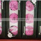 Everlasting Rose A Grade 6 to 7 cm Preserved Rose From Yunnan thumbnail-3