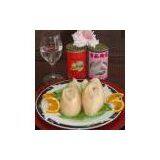 Sell Chilean Topshell (Chile) thumbnail-1