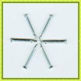 White Head Self Drilling Screw Size Manufactory thumbnail-2