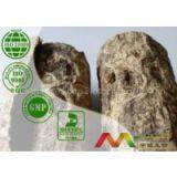 Magnolia Bark Extract thumbnail-1