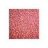 Sell Small Red Bean thumbnail-1