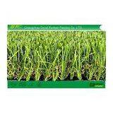 35mm C Shape Dtex 12000 Residential Artificial Turf for Home / Garden thumbnail-1