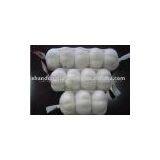 Fresh Chinese Garlic(5.5cm) thumbnail-1