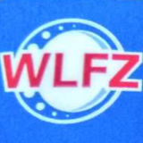 Wafangdian Longfei Bearing Co.,Ltd