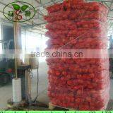 Top Grade Red Burgundy Onions Packing In Mesh Bag Wholesale Price thumbnail-4