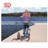 Indoor and Outdoor Luxurious New Confidence Foot Exercise Machine Generator Commercial Cross Body Sculpture Elliptical Trainer thumbnail-6