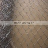Galvanized Chain Link Fence/PVC Coated Chain Link Fence Price specilised used in the School playground & Garden