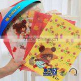 UV Printing PVC File Folder,file Pocket