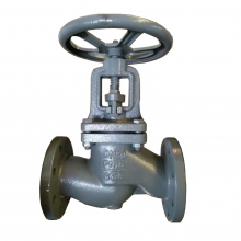 High Quality DIN Standard GG25 Flange End PN16 Cast Iron Bellows Seal Globe Valve Price thumbnail-2