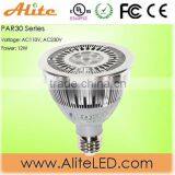 Dimming Par30 Down Light thumbnail-1