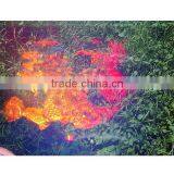 PP Material Anti Fake and Security Shrink With Hologram thumbnail-6