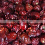 Dried Red Chili Pakistan