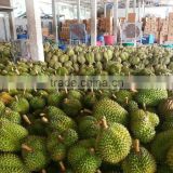 Fresh Durian