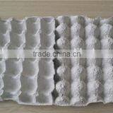EP 100% Recycled Paper Enviromental Egg Tray thumbnail-1