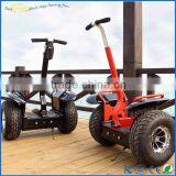China Manufacturer Best Price Stand up Electric Chariot thumbnail-6