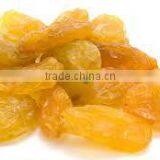 Jumbo Yellow Raisin thumbnail-1